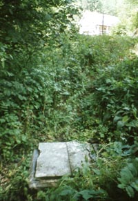 Le site de Sainte-Geneviève en 1996. A droite on distingue le ruisseau bien curé et l’aqueduc.