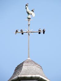 La croix dominant la flèche a été forgée en 1870.